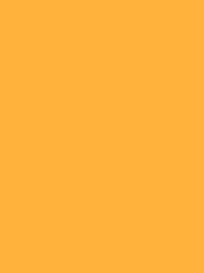 Kate Yellow Solid Photography Backdrop - Katebackdrop